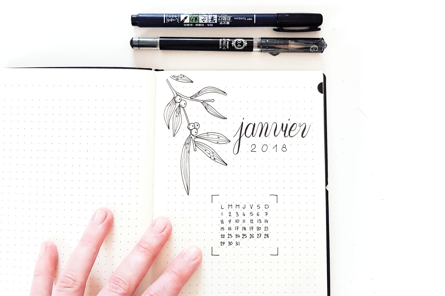 Janvier 2018 dans mon Bullet Journal