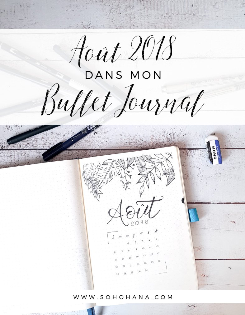 Août 2018 dans mon Bullet Journal
