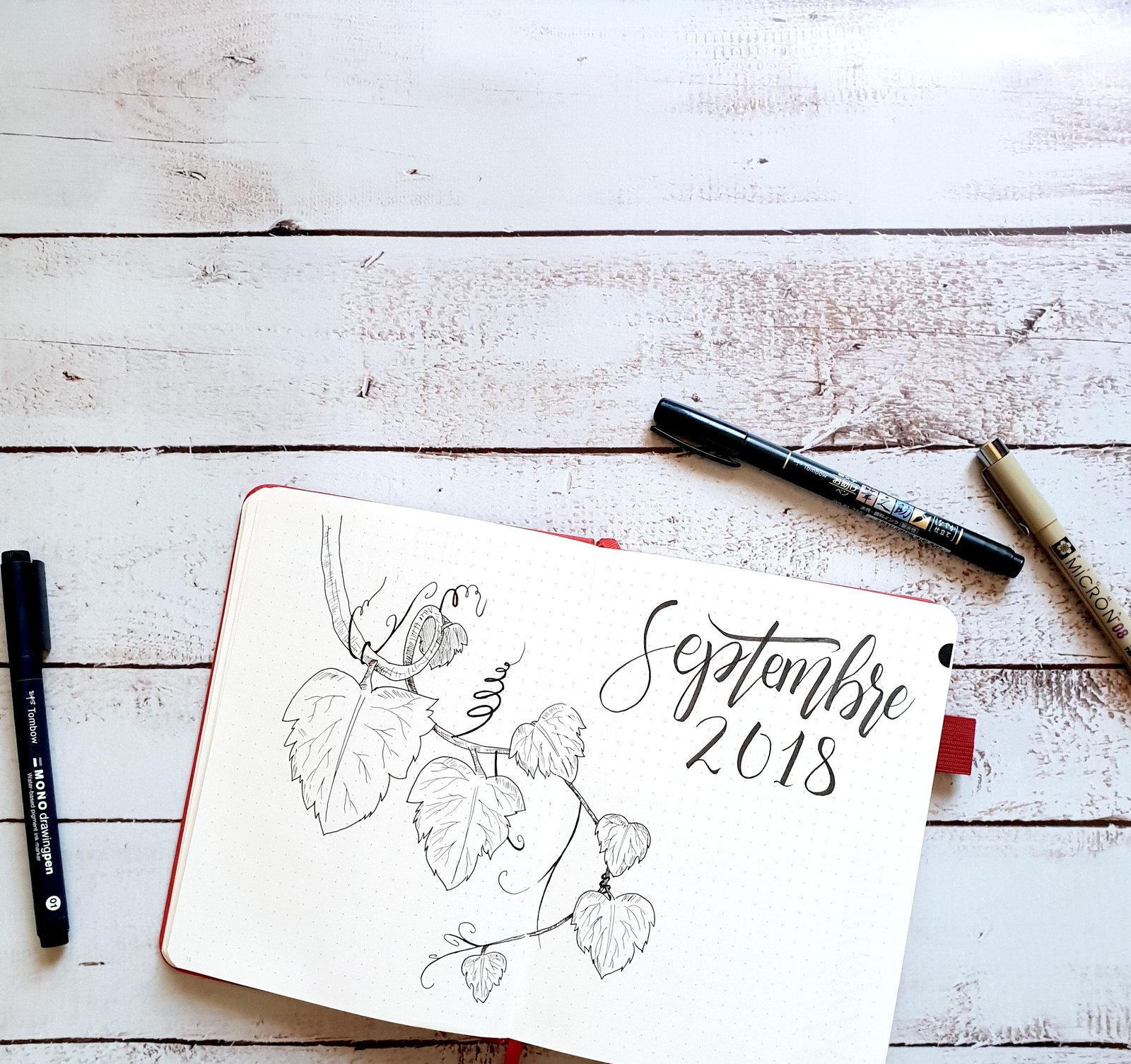 Nouveau Bullet Journal + Septembre 2018